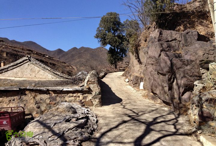 20150320-21骑行阳台山-妙峰山-禅房 （下篇）150321-涧沟村-妙峰山主峰-禅房-上苇甸村 (大沟村)