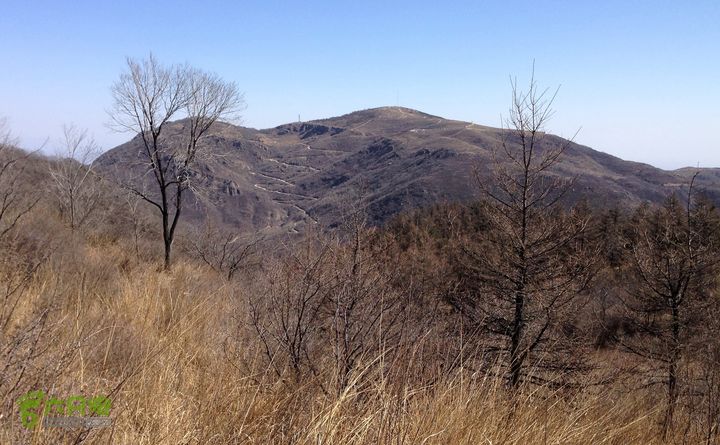 20150320-21骑行阳台山-妙峰山-禅房 （下篇）150321-涧沟村-妙峰山主峰-禅房-上苇甸村 (登妙峰山主峰路上，远看阳台山) 