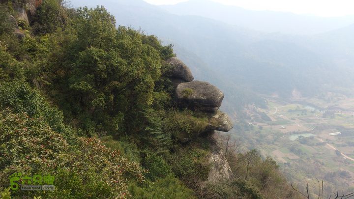 大球山（上保山）—横路头穿越大球山×「鳥喙」