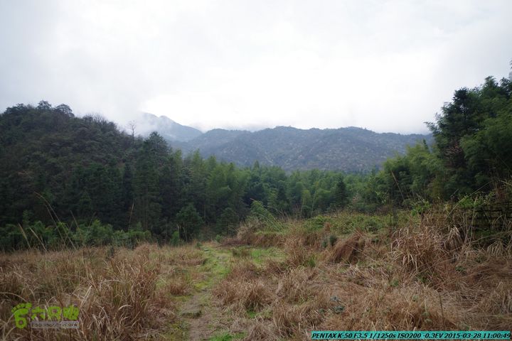 20150328-登宝鼎山(南宝鼎)-(桂林驴先锋户外)IMGP1669