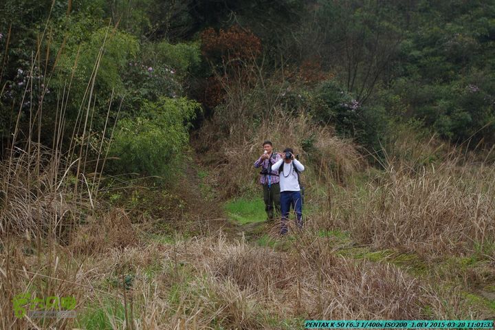 20150328-登宝鼎山(南宝鼎)-(桂林驴先锋户外)IMGP1672