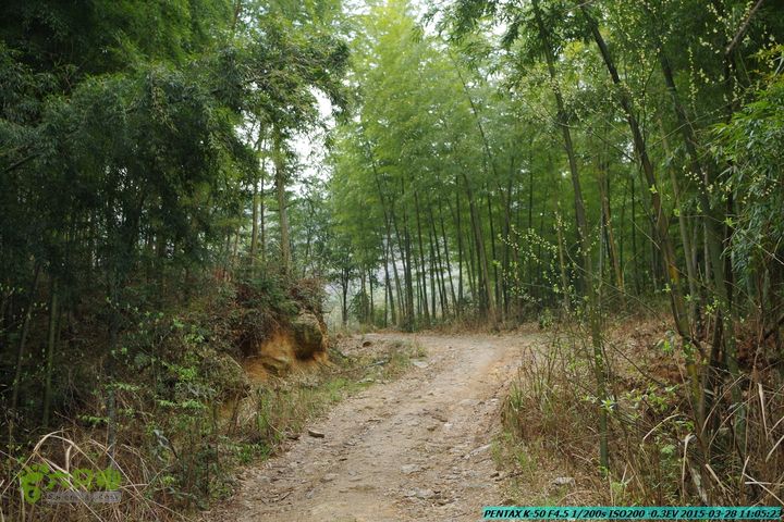 20150328-登宝鼎山(南宝鼎)-(桂林驴先锋户外)IMGP1676