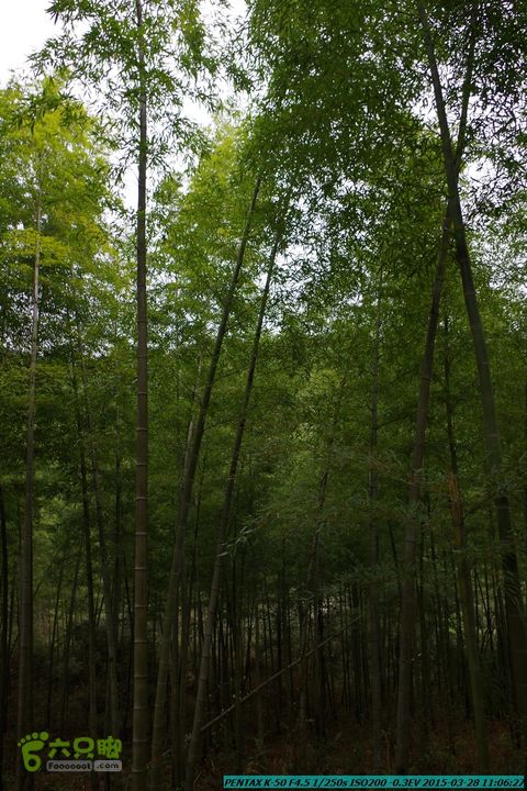 20150328-登宝鼎山(南宝鼎)-(桂林驴先锋户外)IMGP1677