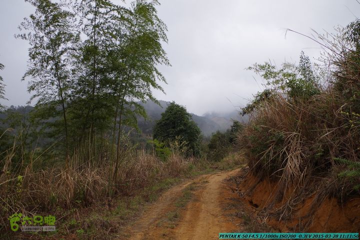 20150328-登宝鼎山(南宝鼎)-(桂林驴先锋户外)IMGP1680