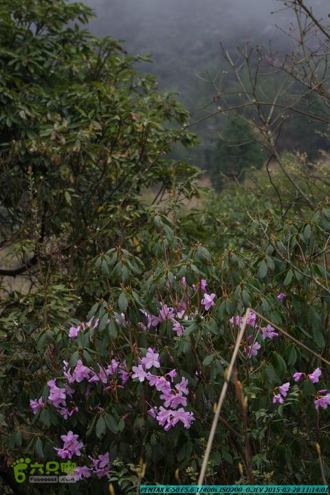 20150328-登宝鼎山(南宝鼎)-(桂林驴先锋户外)IMGP1681