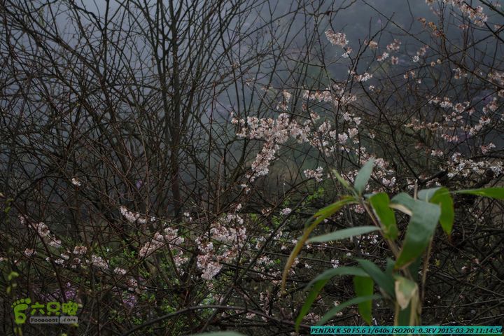 20150328-登宝鼎山(南宝鼎)-(桂林驴先锋户外)IMGP1683