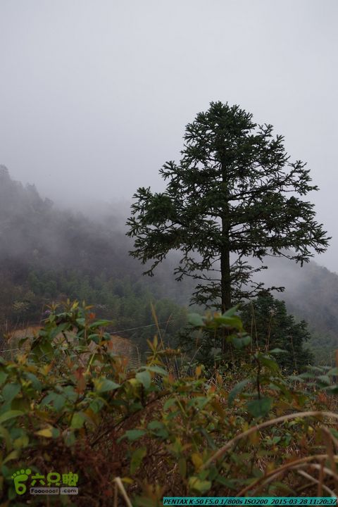 20150328-登宝鼎山(南宝鼎)-(桂林驴先锋户外)IMGP1690