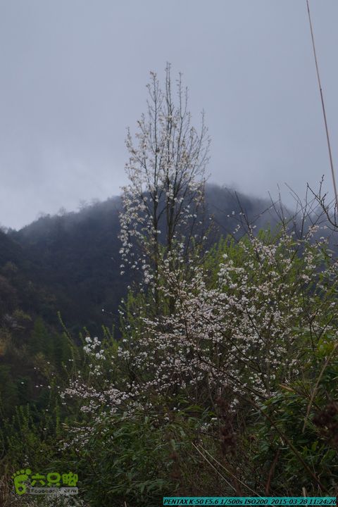 20150328-登宝鼎山(南宝鼎)-(桂林驴先锋户外)IMGP1694