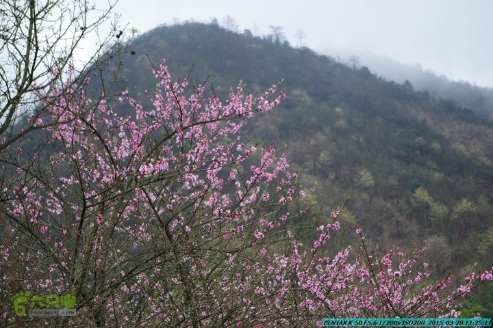 20150328-登宝鼎山(南宝鼎)-(桂林驴先锋户外)IMGP1696