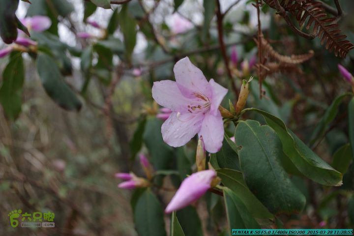 20150328-登宝鼎山(南宝鼎)-(桂林驴先锋户外)IMGP1701
