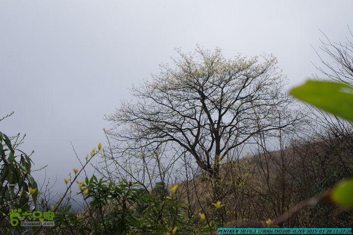 20150328-登宝鼎山(南宝鼎)-(桂林驴先锋户外)IMGP1711