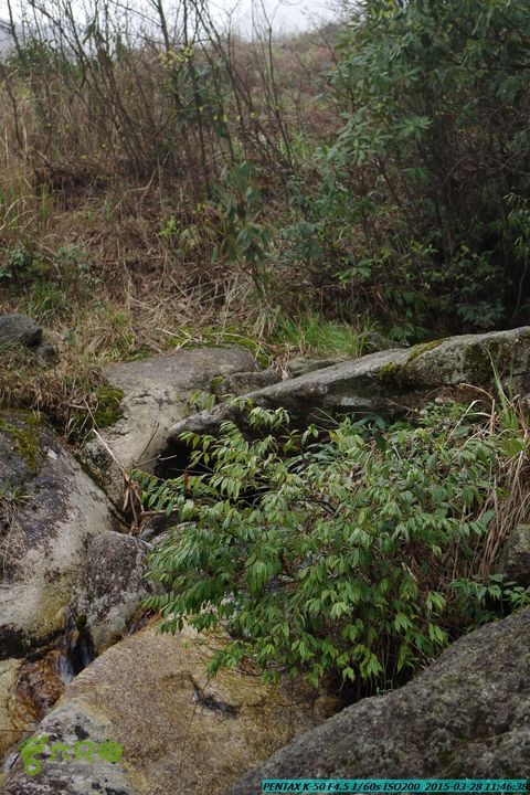 20150328-登宝鼎山(南宝鼎)-(桂林驴先锋户外)IMGP1721