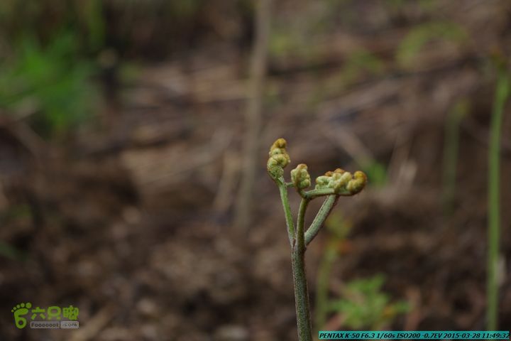20150328-登宝鼎山(南宝鼎)-(桂林驴先锋户外)IMGP1727