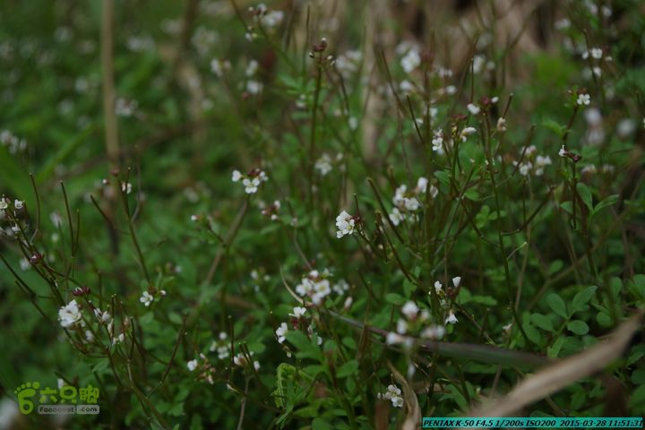 20150328-登宝鼎山(南宝鼎)-(桂林驴先锋户外)IMGP1732