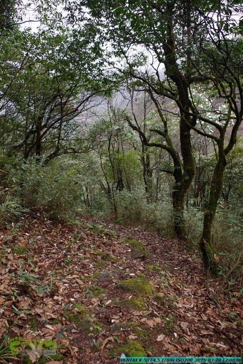 20150328-登宝鼎山(南宝鼎)-(桂林驴先锋户外)IMGP1741
