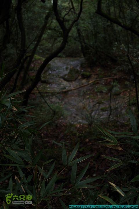 20150328-登宝鼎山(南宝鼎)-(桂林驴先锋户外)IMGP1742