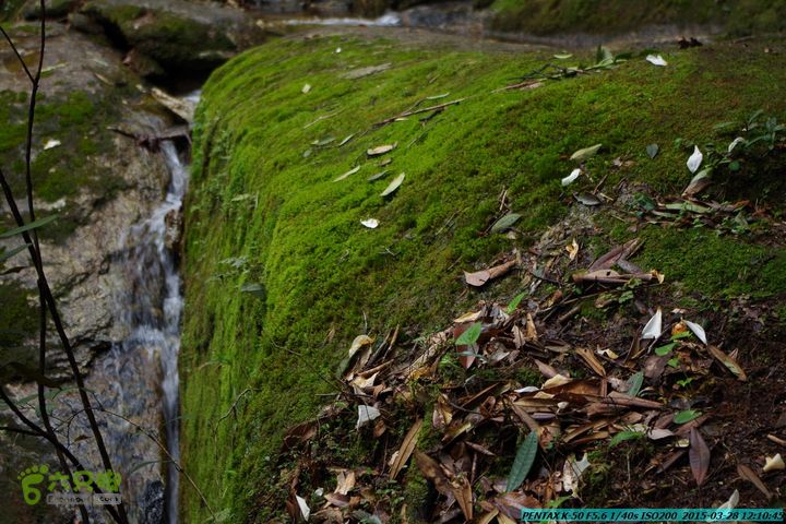20150328-登宝鼎山(南宝鼎)-(桂林驴先锋户外)IMGP1746