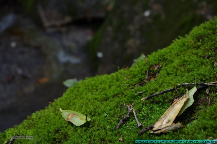 20150328-登宝鼎山(南宝鼎)-(桂林驴先锋户外)IMGP1750