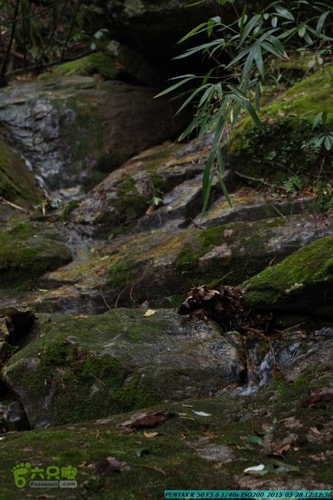 20150328-登宝鼎山(南宝鼎)-(桂林驴先锋户外)IMGP1751
