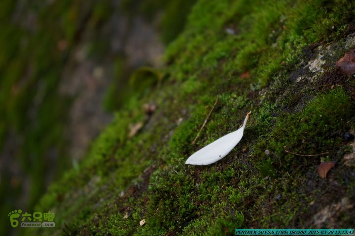 20150328-登宝鼎山(南宝鼎)-(桂林驴先锋户外)IMGP1753