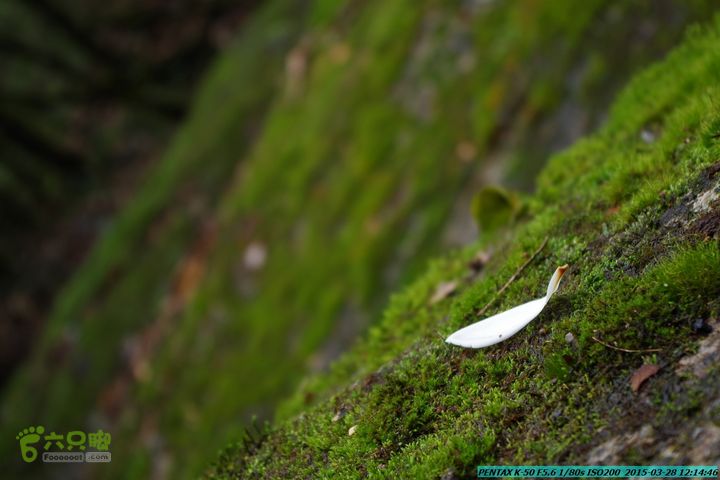 20150328-登宝鼎山(南宝鼎)-(桂林驴先锋户外)IMGP1754