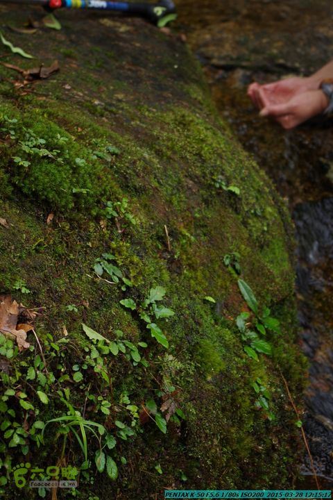 20150328-登宝鼎山(南宝鼎)-(桂林驴先锋户外)IMGP1755