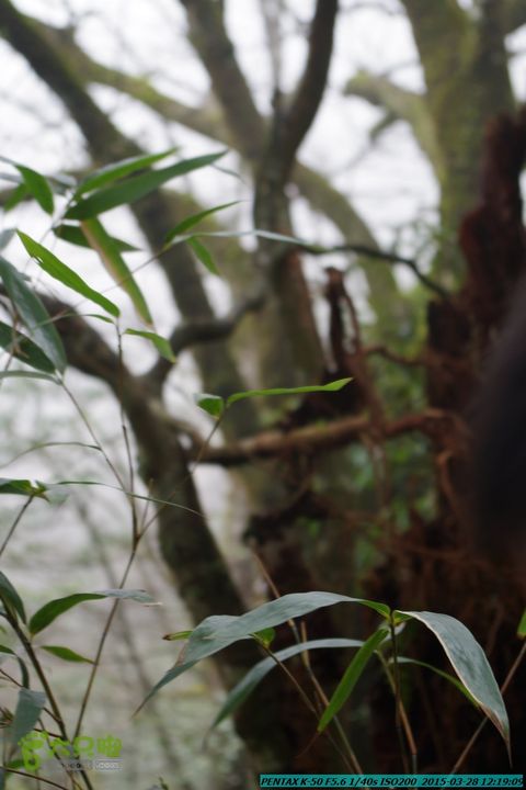 20150328-登宝鼎山(南宝鼎)-(桂林驴先锋户外)IMGP1760