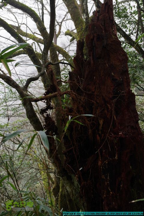 20150328-登宝鼎山(南宝鼎)-(桂林驴先锋户外)IMGP1761