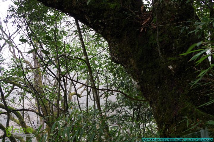 20150328-登宝鼎山(南宝鼎)-(桂林驴先锋户外)IMGP1764