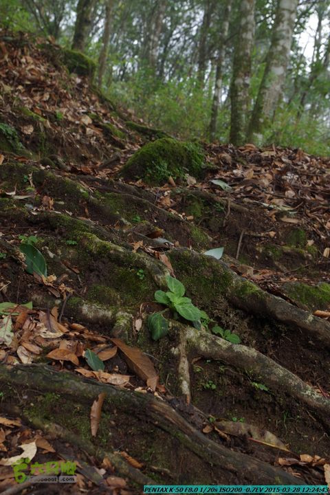 20150328-登宝鼎山(南宝鼎)-(桂林驴先锋户外)IMGP1768