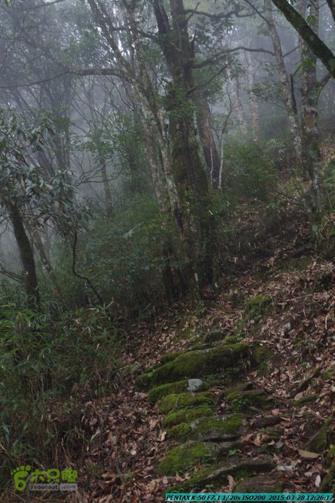 20150328-登宝鼎山(南宝鼎)-(桂林驴先锋户外)IMGP1770