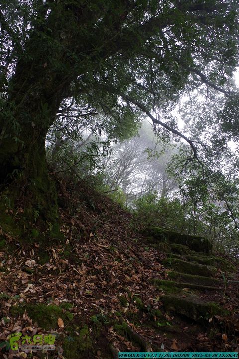 20150328-登宝鼎山(南宝鼎)-(桂林驴先锋户外)IMGP1772