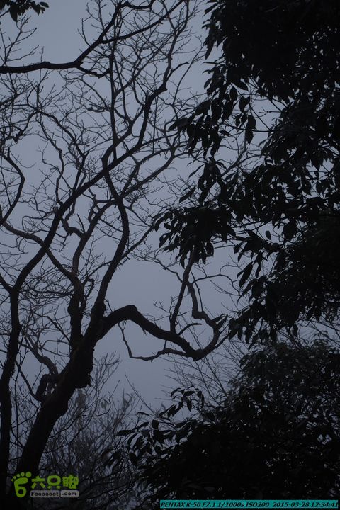 20150328-登宝鼎山(南宝鼎)-(桂林驴先锋户外)IMGP1778