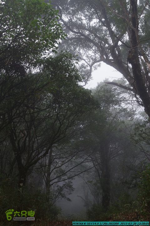 20150328-登宝鼎山(南宝鼎)-(桂林驴先锋户外)IMGP1781
