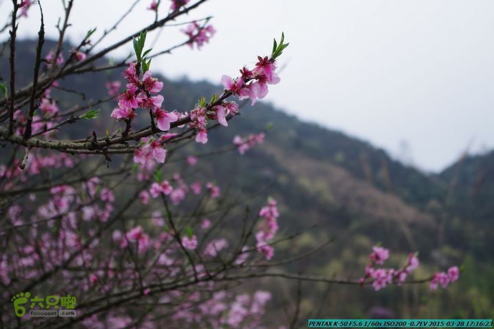 20150328-登宝鼎山(南宝鼎)-(桂林驴先锋户外)IMGP2203