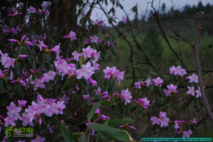 20150328-登宝鼎山(南宝鼎)-(桂林驴先锋户外)IMGP2211
