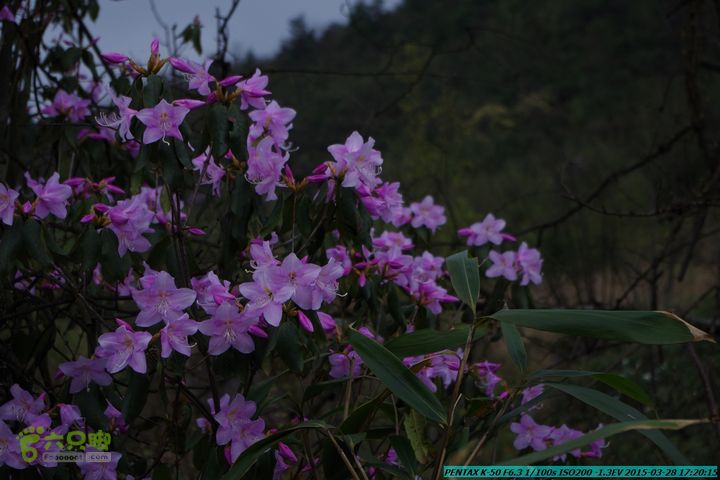 20150328-登宝鼎山(南宝鼎)-(桂林驴先锋户外)IMGP2213