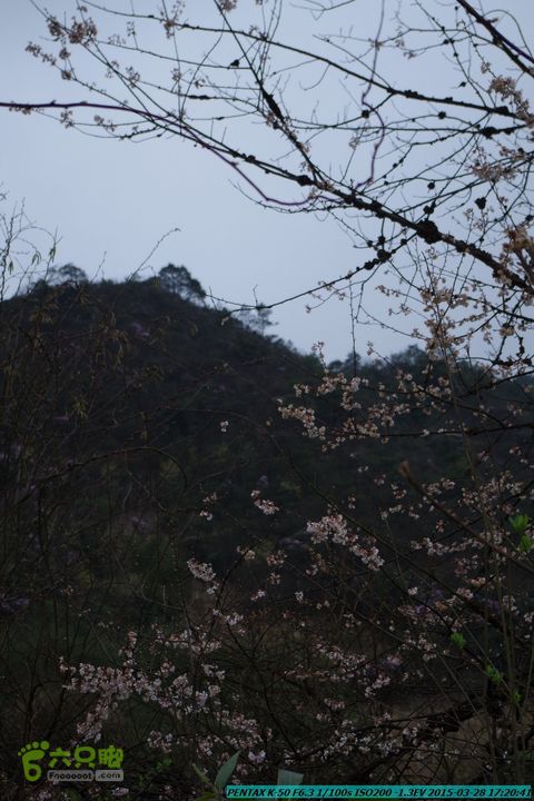 20150328-登宝鼎山(南宝鼎)-(桂林驴先锋户外)IMGP2216