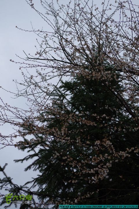 20150328-登宝鼎山(南宝鼎)-(桂林驴先锋户外)IMGP2218