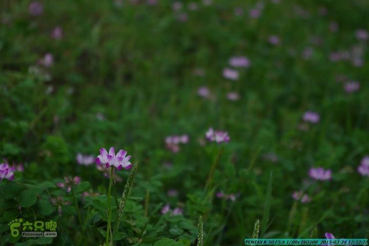 20150328-登宝鼎山(南宝鼎)-(桂林驴先锋户外)IMGP2235
