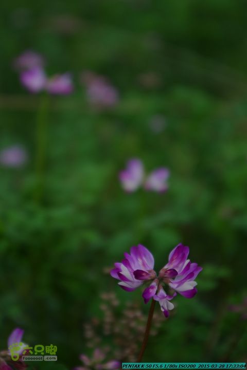 20150328-登宝鼎山(南宝鼎)-(桂林驴先锋户外)IMGP2244