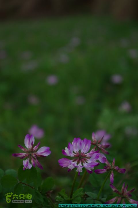 20150328-登宝鼎山(南宝鼎)-(桂林驴先锋户外)IMGP2251