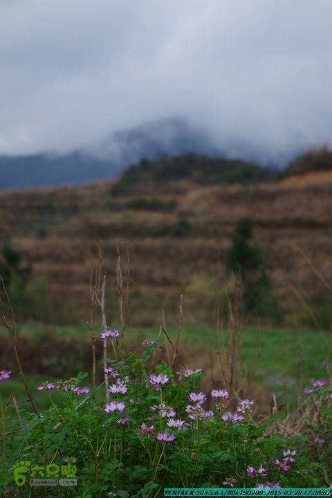 20150328-登宝鼎山(南宝鼎)-(桂林驴先锋户外)IMGP2271