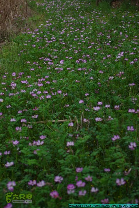 20150328-登宝鼎山(南宝鼎)-(桂林驴先锋户外)IMGP2280