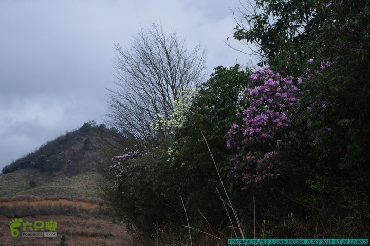 20150328-登宝鼎山(南宝鼎)-(桂林驴先锋户外)IMGP2284