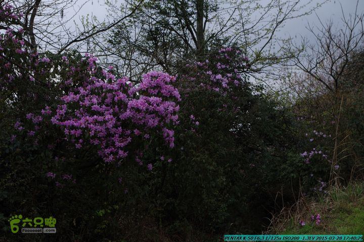 20150328-登宝鼎山(南宝鼎)-(桂林驴先锋户外)IMGP2288