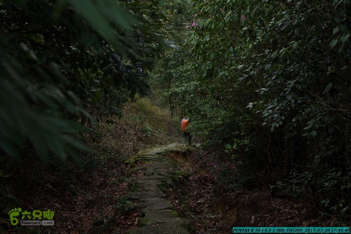 20150328-登宝鼎山(南宝鼎)-(桂林驴先锋户外)IMGP2295