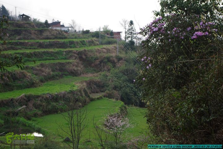 20150328-登宝鼎山(南宝鼎)-(桂林驴先锋户外)IMGP2310