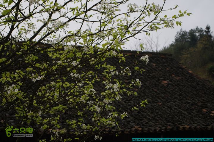 20150328-登宝鼎山(南宝鼎)-(桂林驴先锋户外)IMGP2320