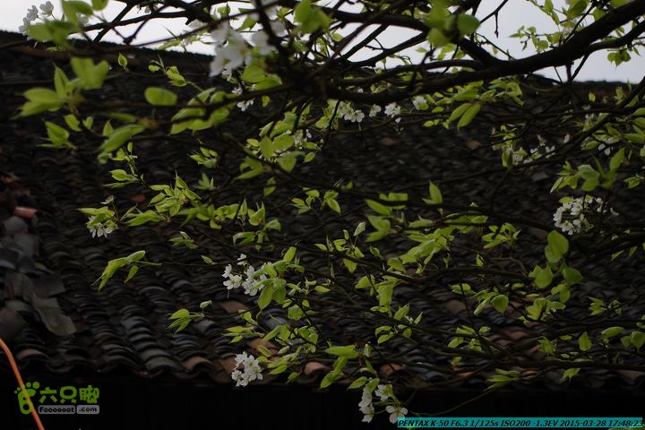 20150328-登宝鼎山(南宝鼎)-(桂林驴先锋户外)IMGP2323